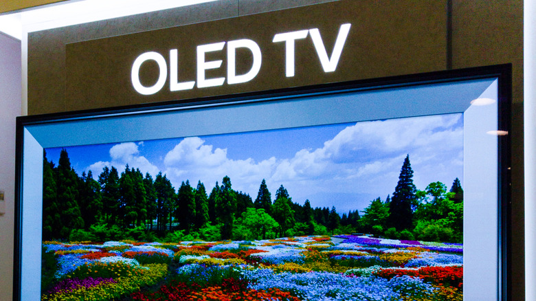 An LG OLED TV on display showing a field of flowers