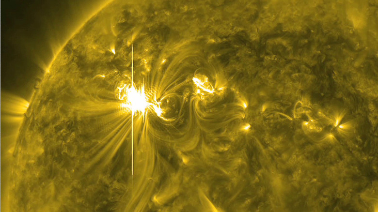 An image showing one of the sun's solar flares