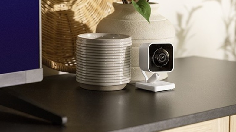 Roku indoor camera on dresser in front of potted plants