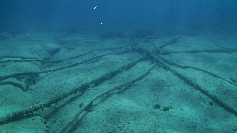 Underwater cables on the seafloor