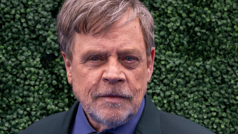Mark Hamill standing in front of shrubbery