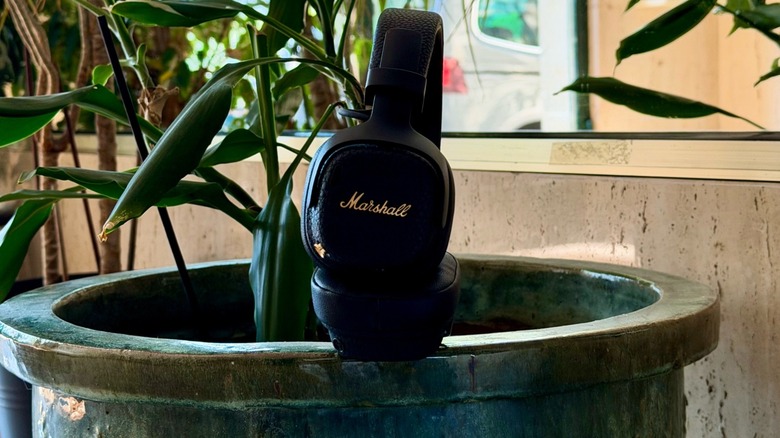 Marshall's Milton A.N.C headphones near a plant