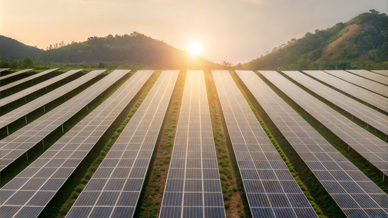 Solar panels in a field at sunset with hills in the background.