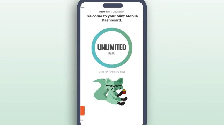 Signing up for an unlimited plan at Mint Mobile
