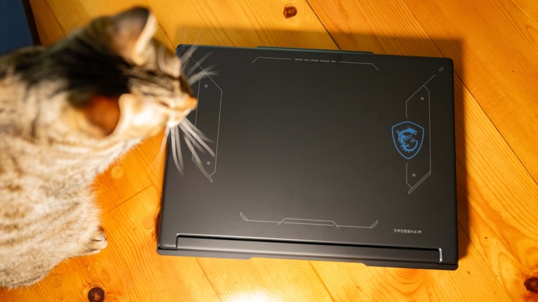 Cat keeping watch over the closed top of the MSI Crosshair A16 HX E8WGK-009US.