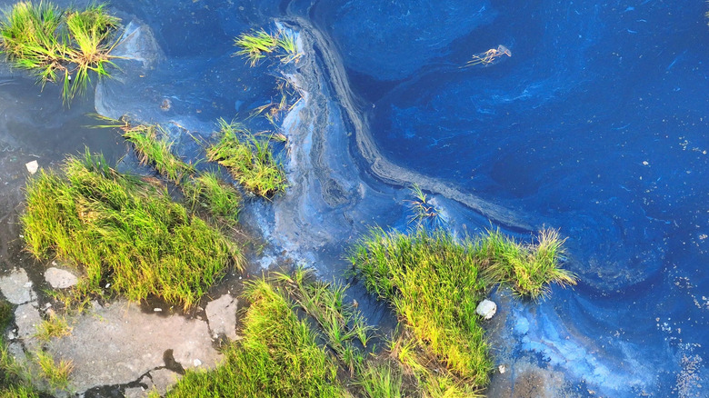 Industrial wastewater plume flowing into a river.
