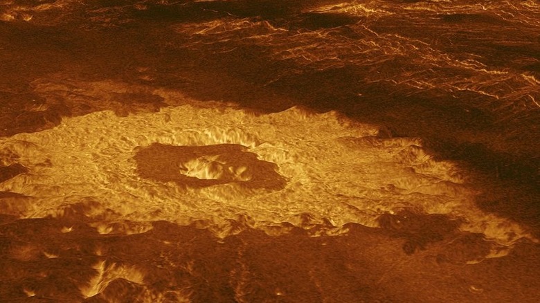 A radar view of craters on the surface of Venus taken by Magellan.