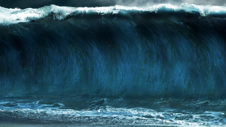 an artistic image of a tsunami wave