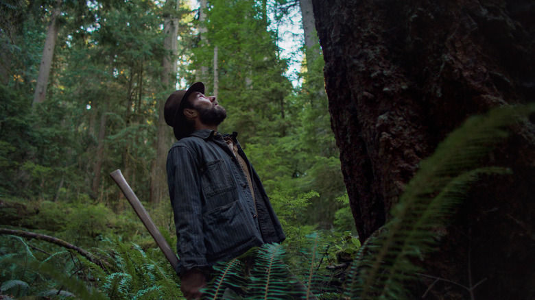 A logger holding an axe stares up at a towering tree in a lush, green forest.