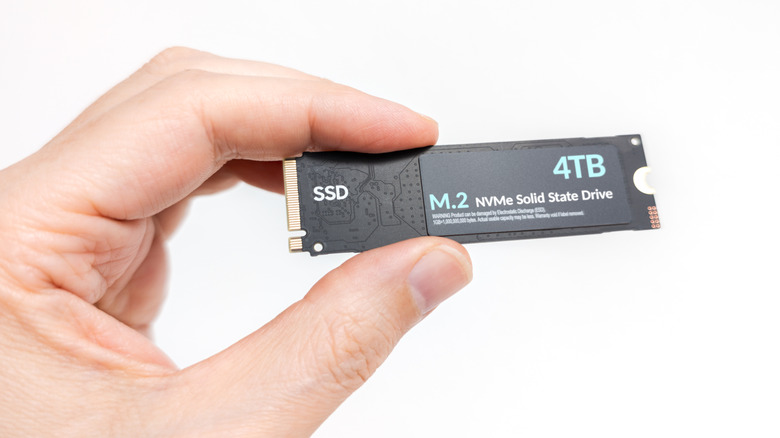 A person holding a 4TB SSD in front of a white background