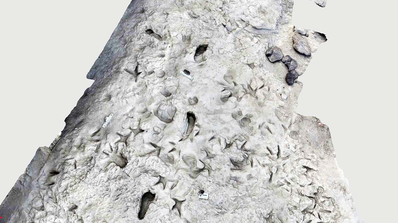 A 3D computerized model of the surface of the area near Lake Turkana in Kenya shows fossil footprints of Paranthropus boisei (vertical footprints) with separate footprints of Homo erectus forming a perpendicular path.