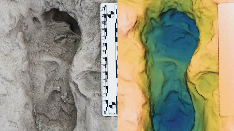 Overhead image (left) and height map (right) of 3D model of hominin footprint track H3 at Lake Turkana. Scale bars are 15 cm and 8 cm. Height map spans 8 cm from deepest blue to white.