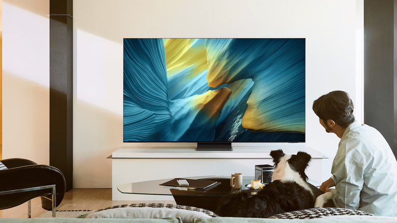 A person and a dog watching the Samsung S95F OLED TV, set up in their living room