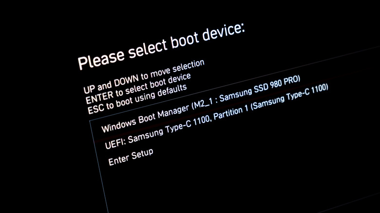 Close up of Windows boot manager menu with two drives listed