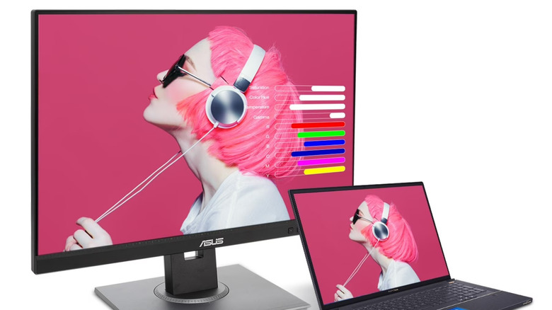 Asus ProArt Display PA248QV connected to laptop showing pink-haired girl