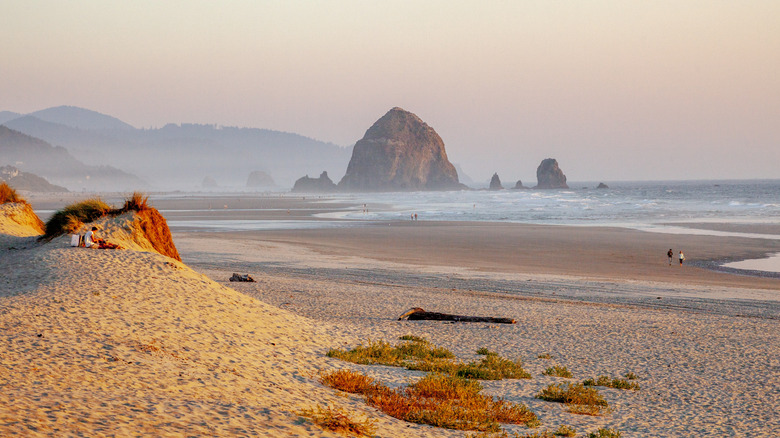 dunes on beach in Oregon