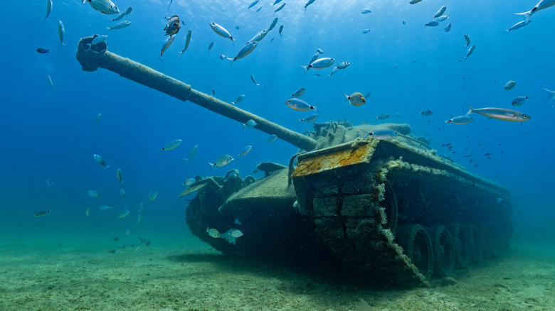 Fish swimming around a submerged tank forming an artificial reef