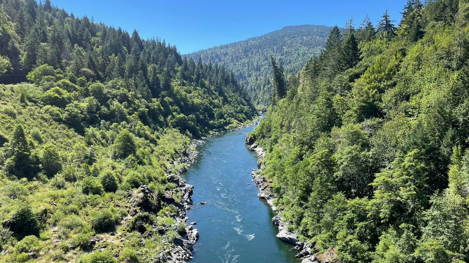 One Year After The Klamath Dam Project, Scientists Are Thrilled By Nature’s Comeback – BGR