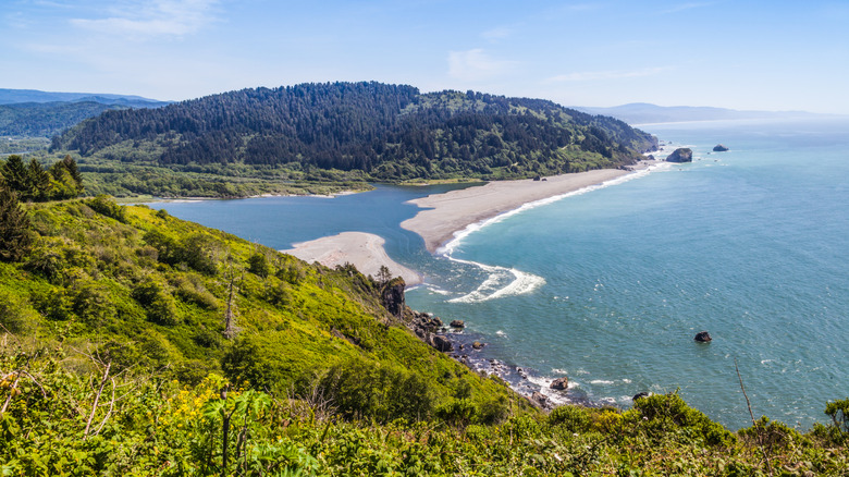the Klamath River spilling into the Pacific Ocean