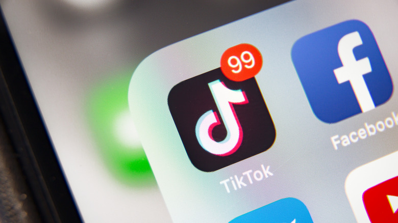 The TikTok app logo on an iPhone.