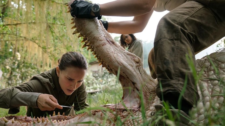 Lena examining an albino crocodile in the Shimmer