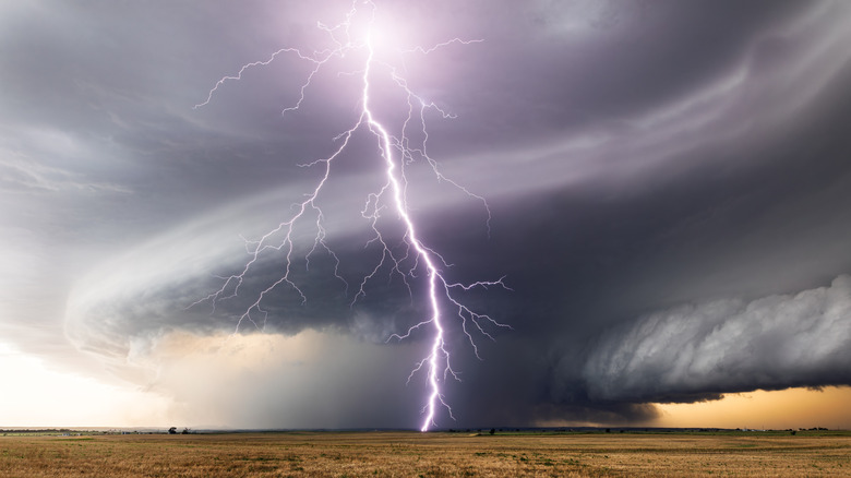 A vivid lightning strike on flat plains in front of a thunderstorm