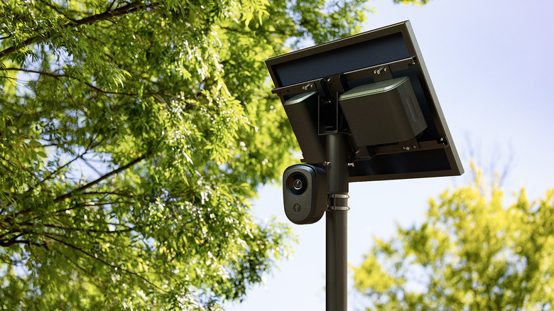 A Flock Automatic License Plate Reader stands at the top of a black pole in front of a canopy of trees