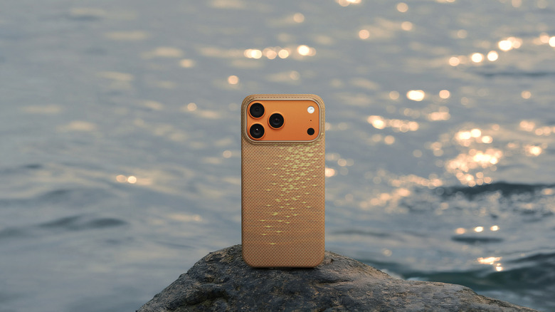 PITAKA's new Glints of Gold case sitting on a rock in front of water
