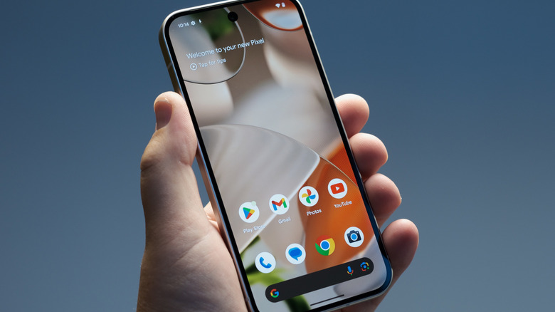 Pixel 9 phone in hand.