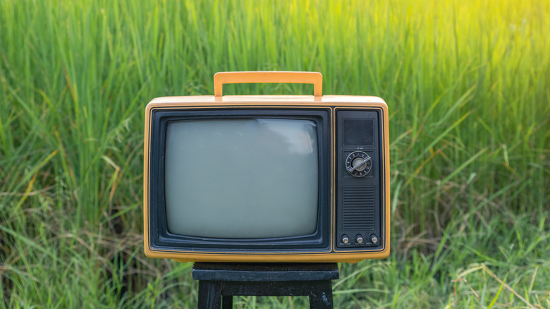 Antique TV resting outside with grass in the background.