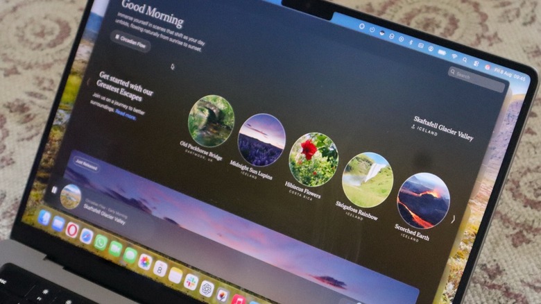 Portal app experience on a MacBook Pro