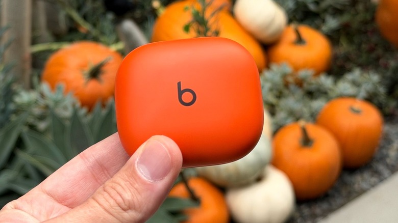 Powerbeats Fit charging case