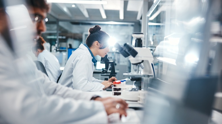 Scientists working in a lab