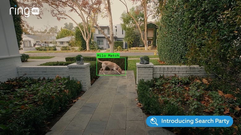 A screenshot from Amazon's Ring Super Bowl 2025 ad.