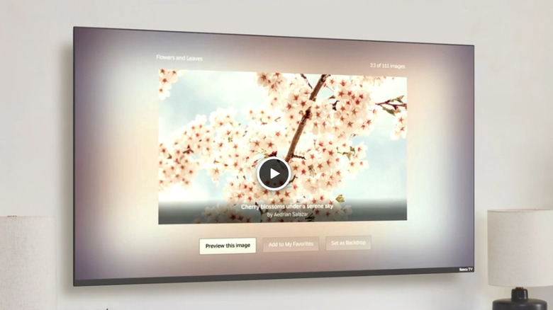 A Backdrops collection in the Roku Backdrops app.