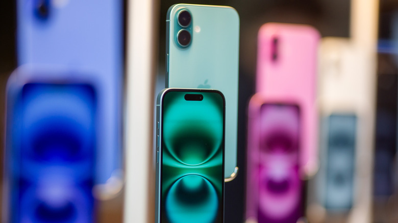 iPhone 16 models