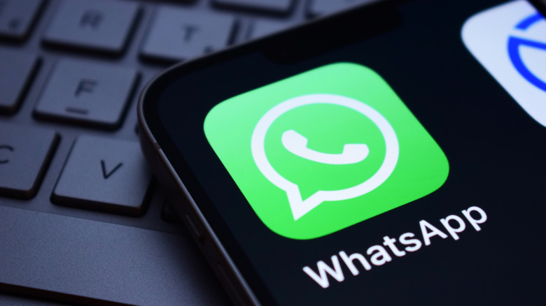The WhatsApp logo displayed on an iPhone.