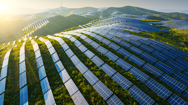 array of solar panels on a hill, with sunlight shining down on them