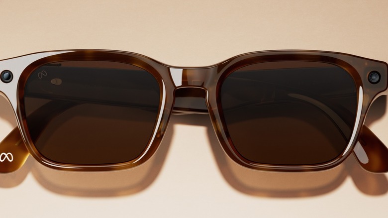 New Meta Glasses in brown