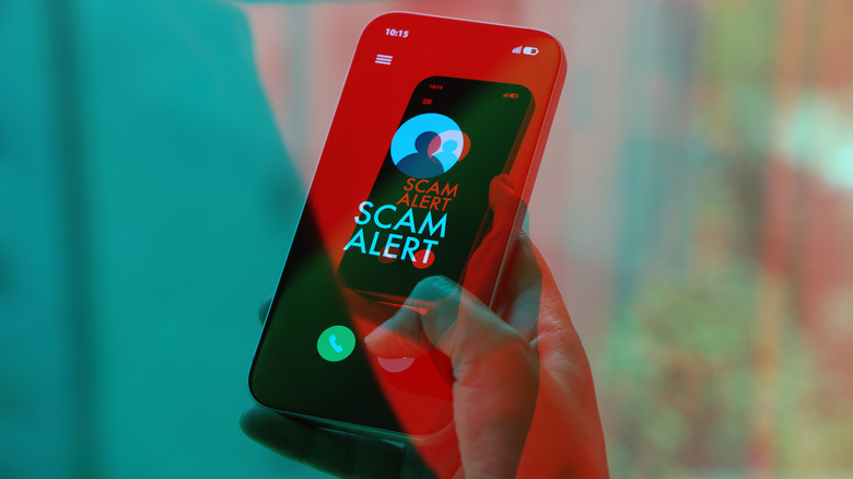 Scam alert message on an iPhone