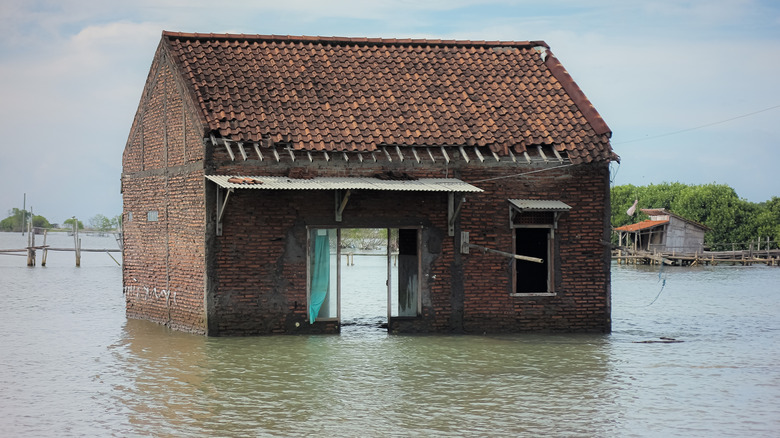 a house sits abandoned in a flooded area due to rising sea levels