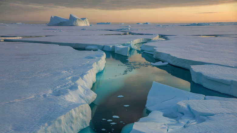 cracks in the Arctic ice