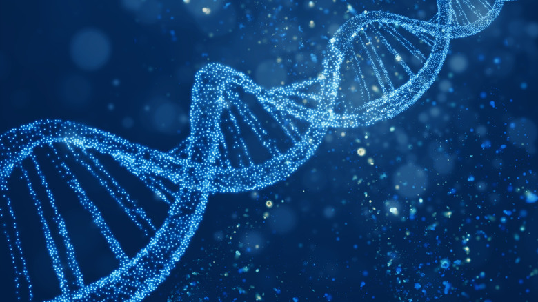 A digital rendering of a helixed DNA structure represents sequences within a database.