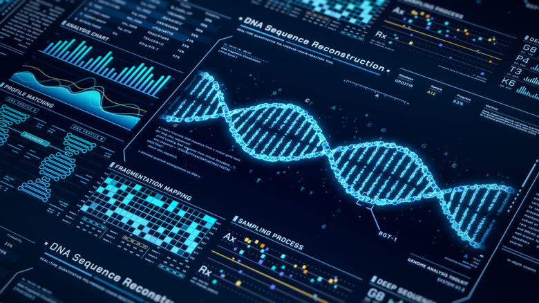 A DNA sequencing database shows various processes for analyzing genetic structures.