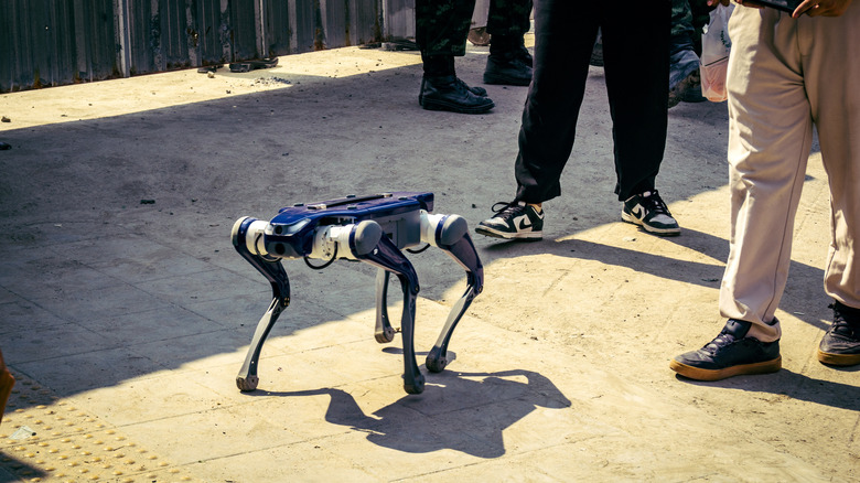 a search and rescue robot helping people
