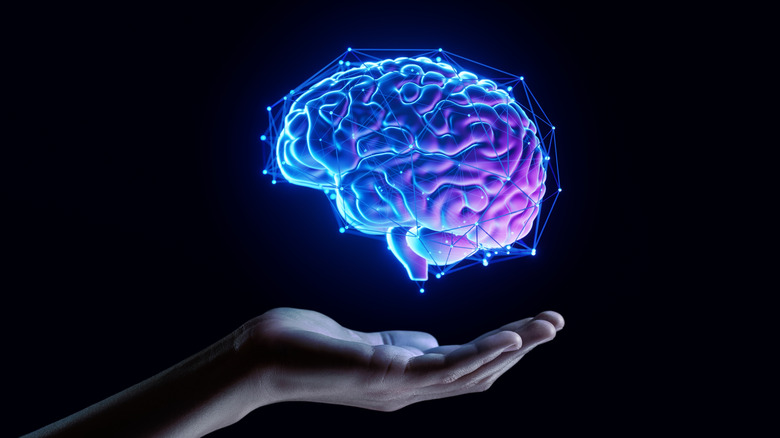 an artistic image of a hand holding a digital human brain