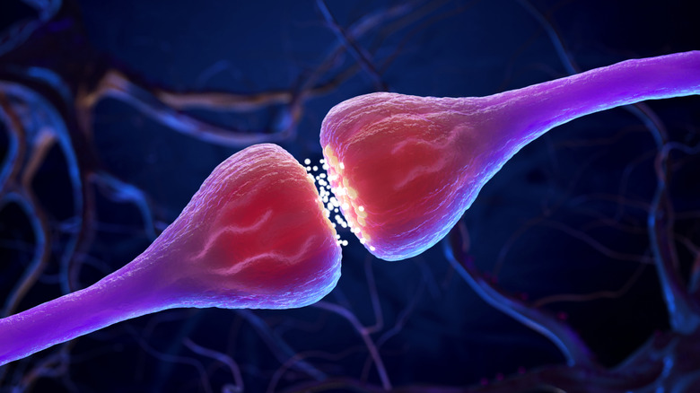 concept image of neuron connections in the brain