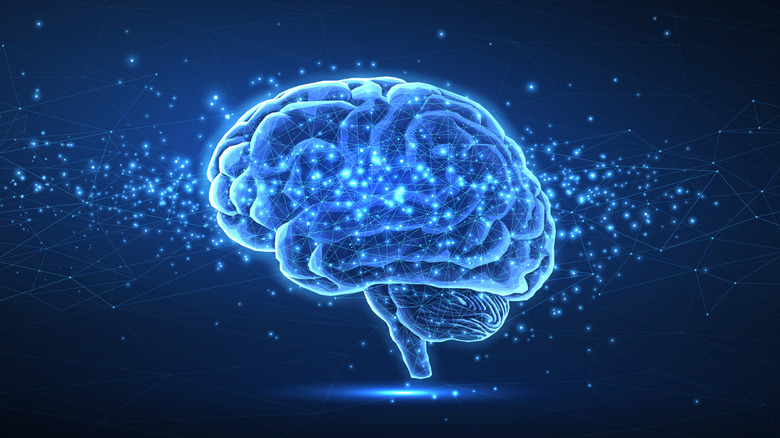 a digital image of the human brain