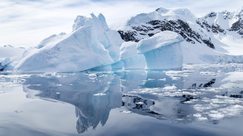 glaciers in Antarctica floating in glassy water.