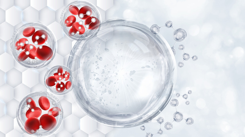 A concept for blood stem cell treatment
